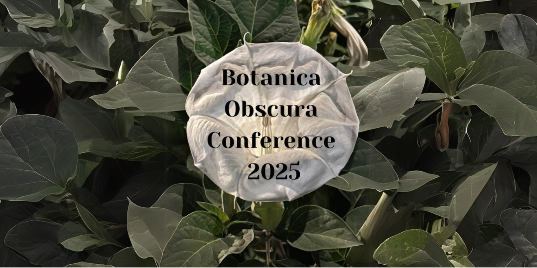 Botanica Obscura 2025